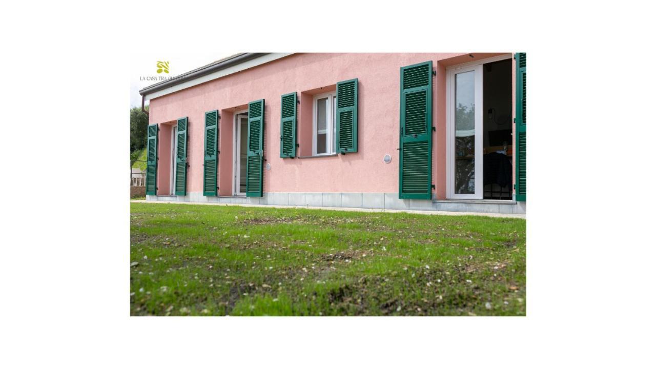 La Casa Tra Gli Ulivi *