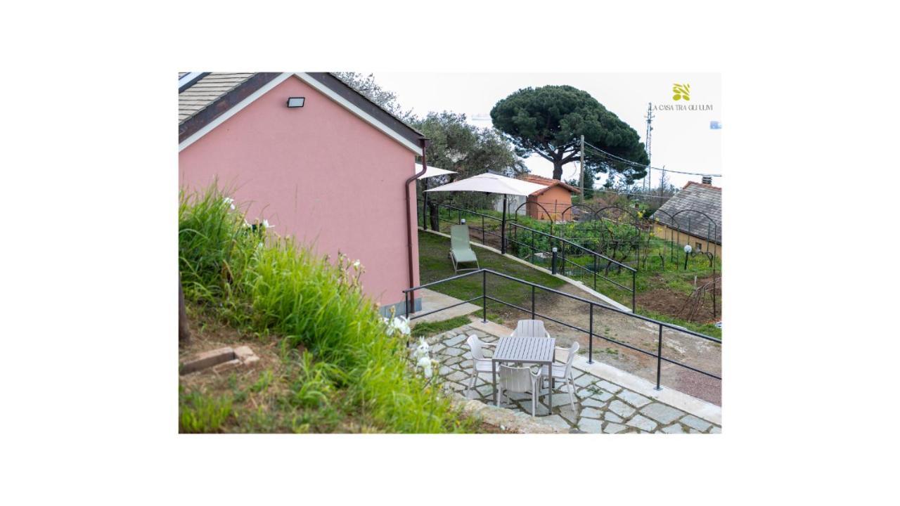 La Casa Tra Gli Ulivi Apartment Genua