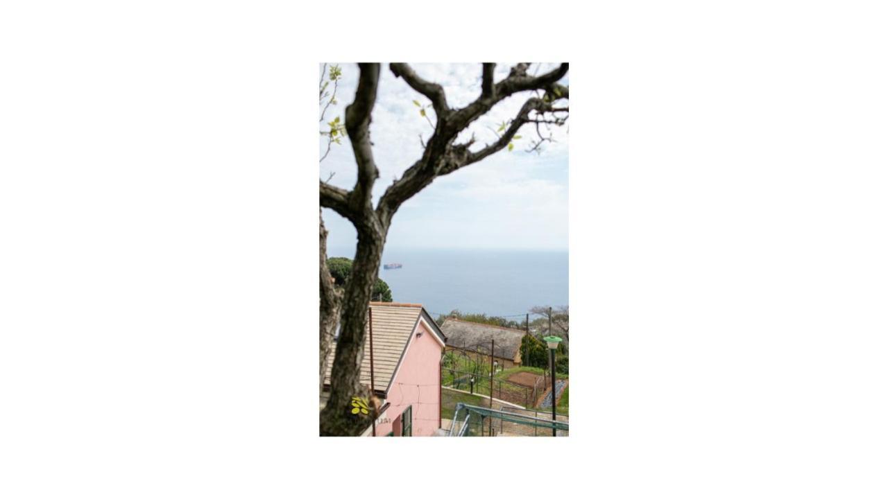 La Casa Tra Gli Ulivi Genua